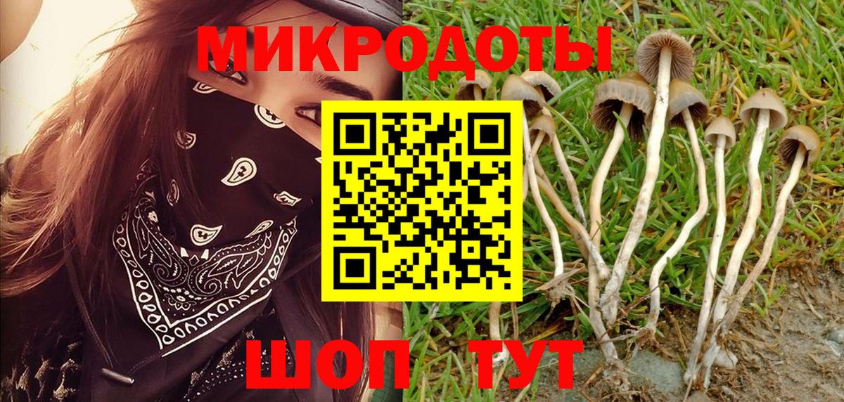 наркота  Псилоцибиновые грибы ЛСД  Вход с VPN  Чернушка 